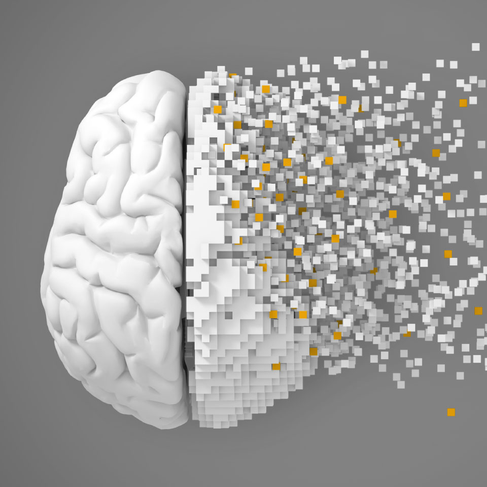 3D Modell eines Gehirns, welches in quadratische Pixel zerfällt